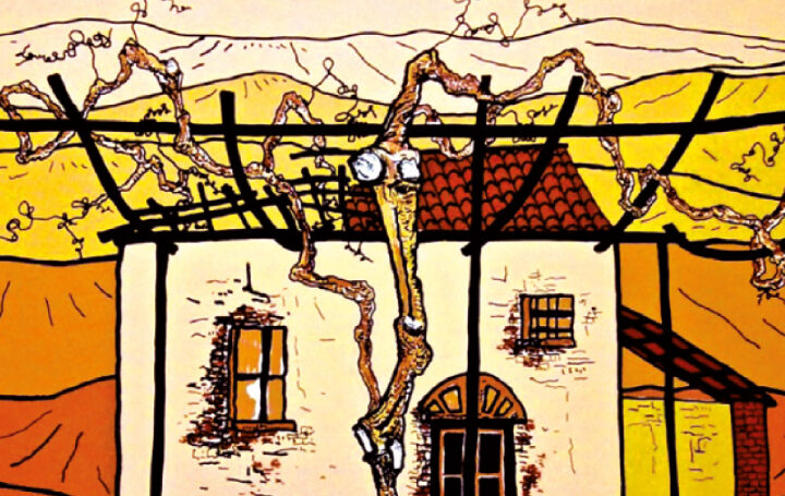 I vini di Trediberri